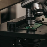 Профессиональный анализ механик слота Gates of Olympus