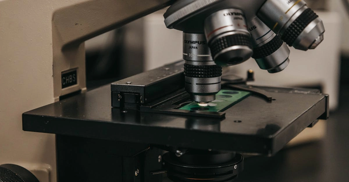 Профессиональный анализ механик слота Gates of Olympus