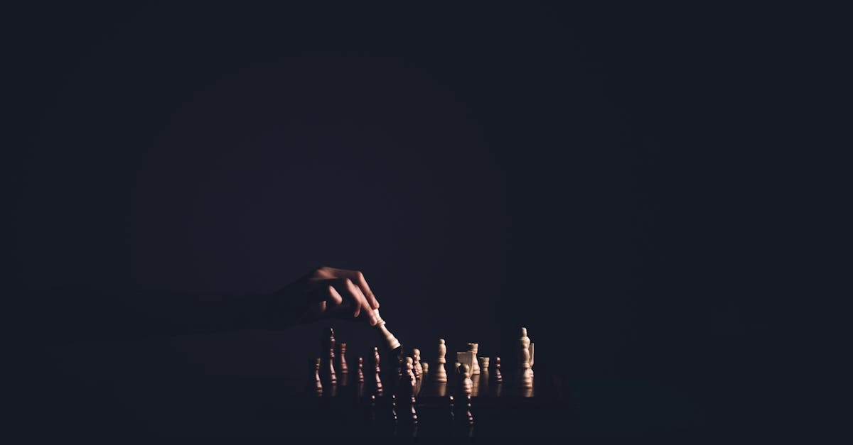 Математический анализ игровых механик слота The Dog House